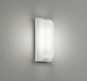 Amazon.co.jp: オーデリック エクステリア ポーチライト 【OG264117R